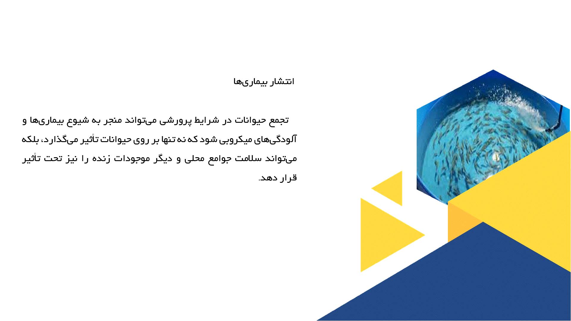 پاورپوینت در مورد تأثیرات زیست‌محیطی پرورش حیوانات آبزی